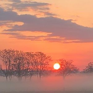 Meet your Posher, Mason